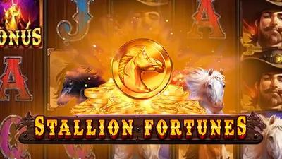 stallion fortunes